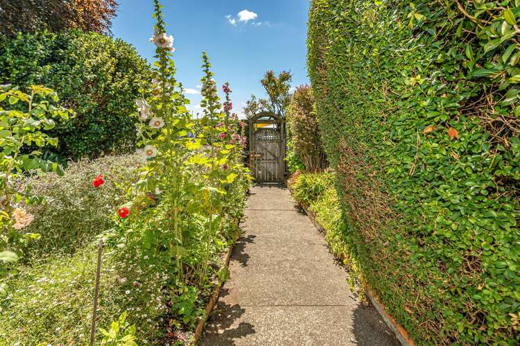 299 Saint Hill Street Wanganui Central_41