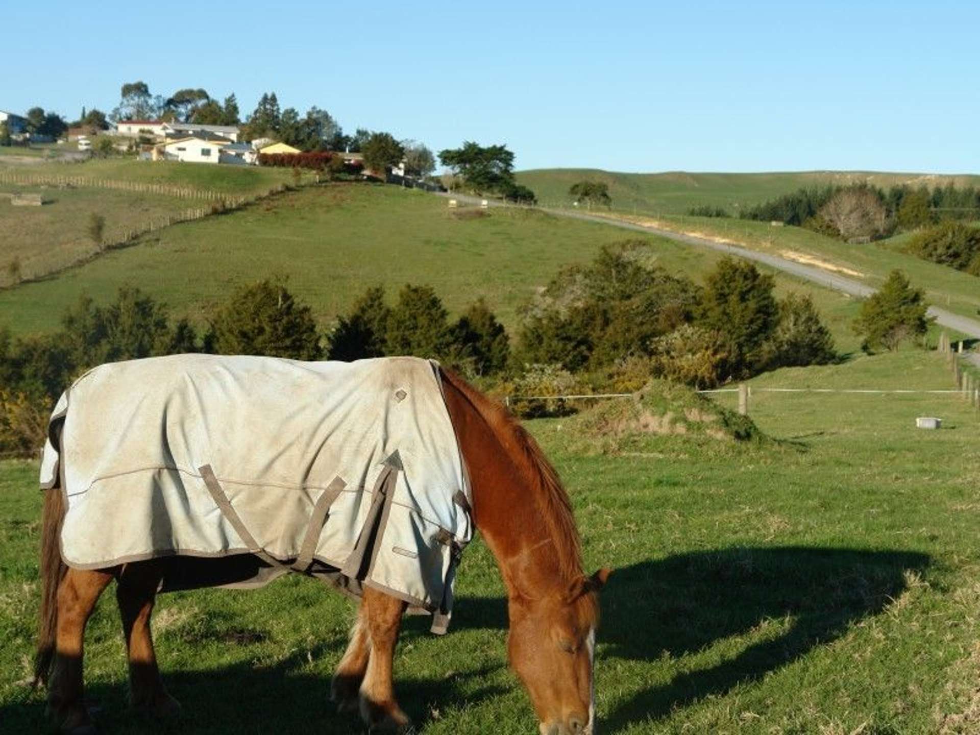 1725 Ruapekapeka Road Kawakawa_0