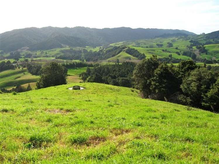 248 Swamp Road Mareretu_5