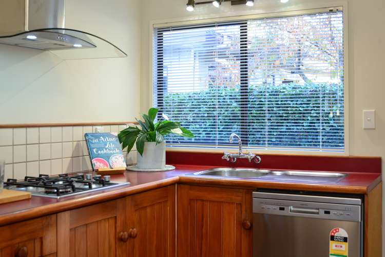 58a Boundary Road Claudelands_12