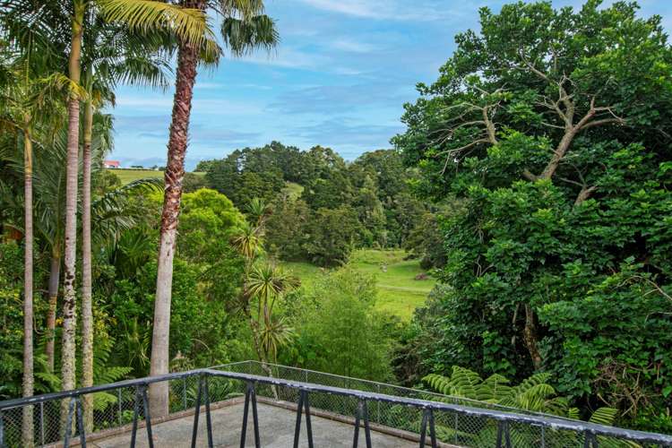 64 Bedlington Street Whau Valley_9