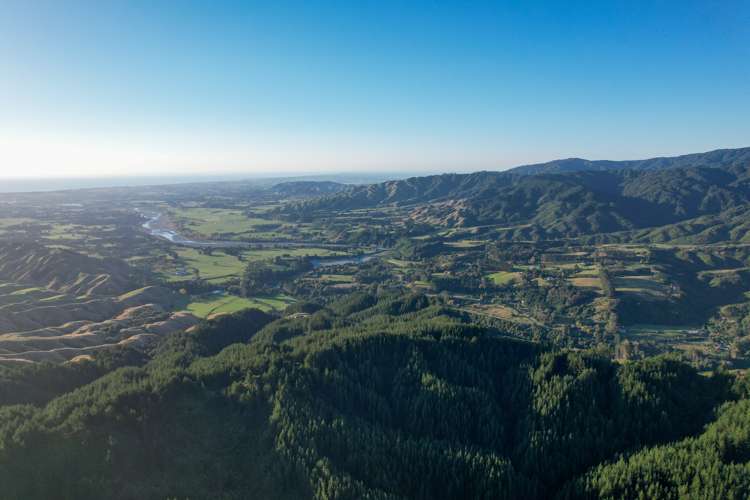 818 Otaki Gorge Road Te Horo_12