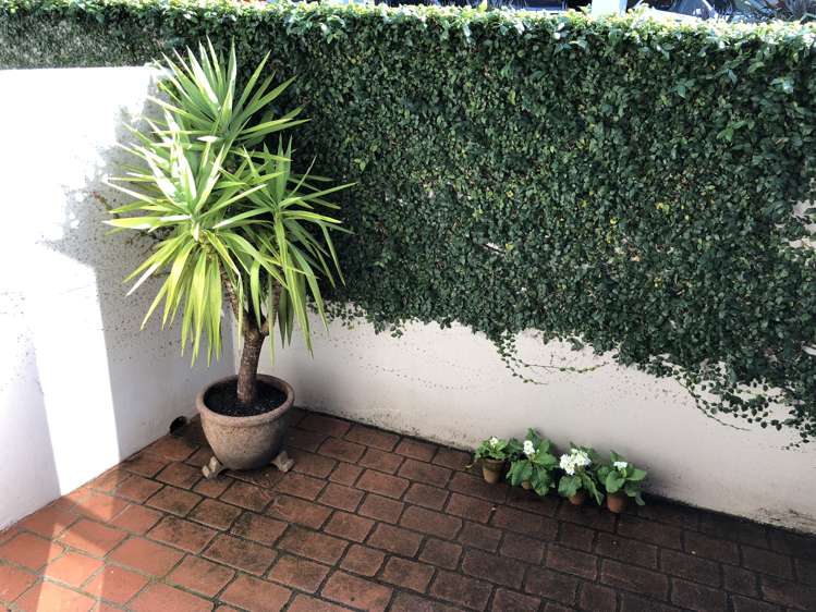 1m/6 Burgoyne Street Grey Lynn_9