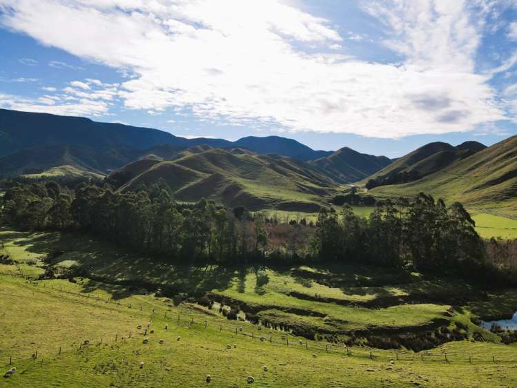 Lot 2/9 Tamaki East Road Dannevirke_10