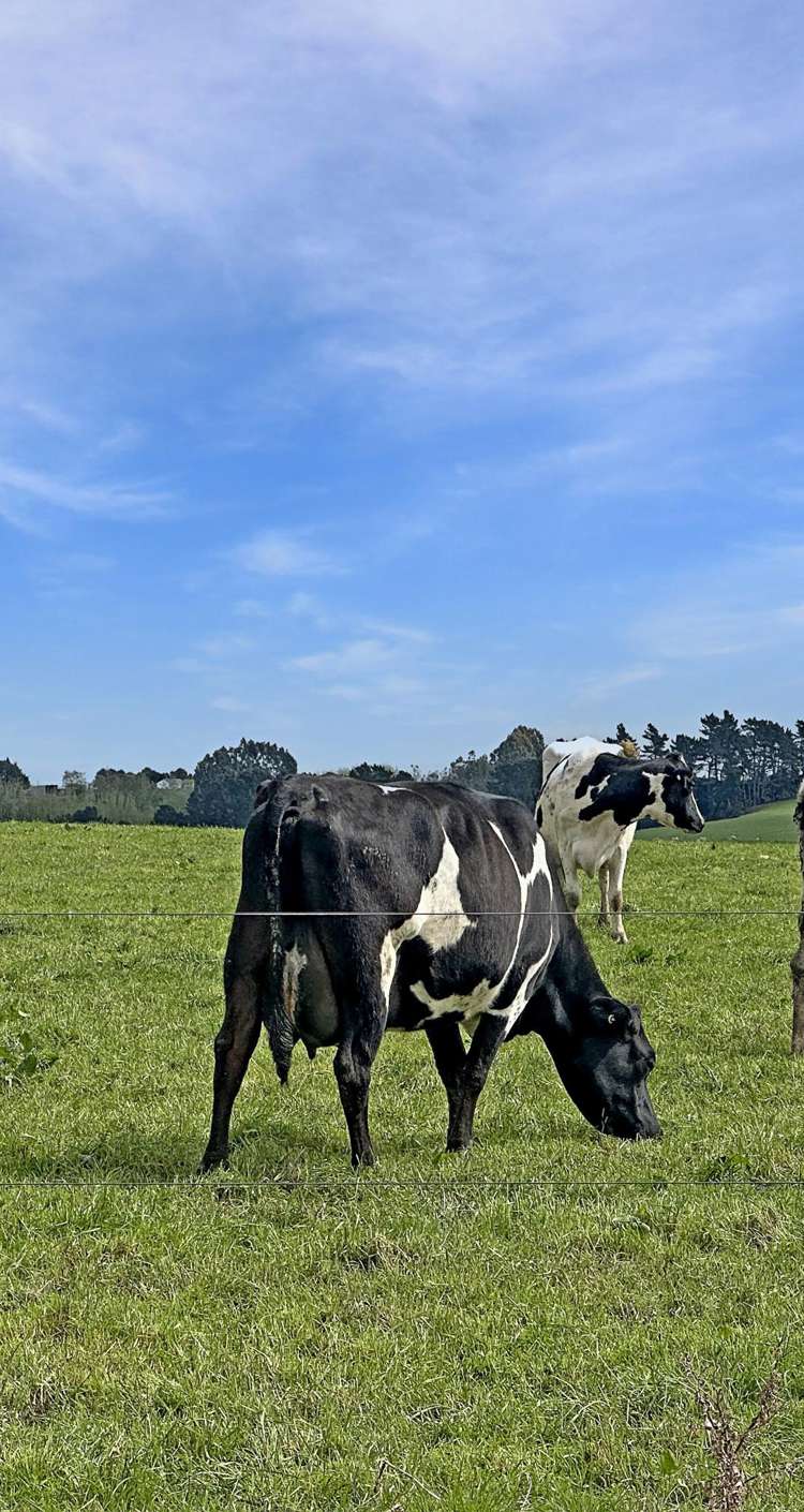 Hillend Road and Falla Burn Road Hillend_13