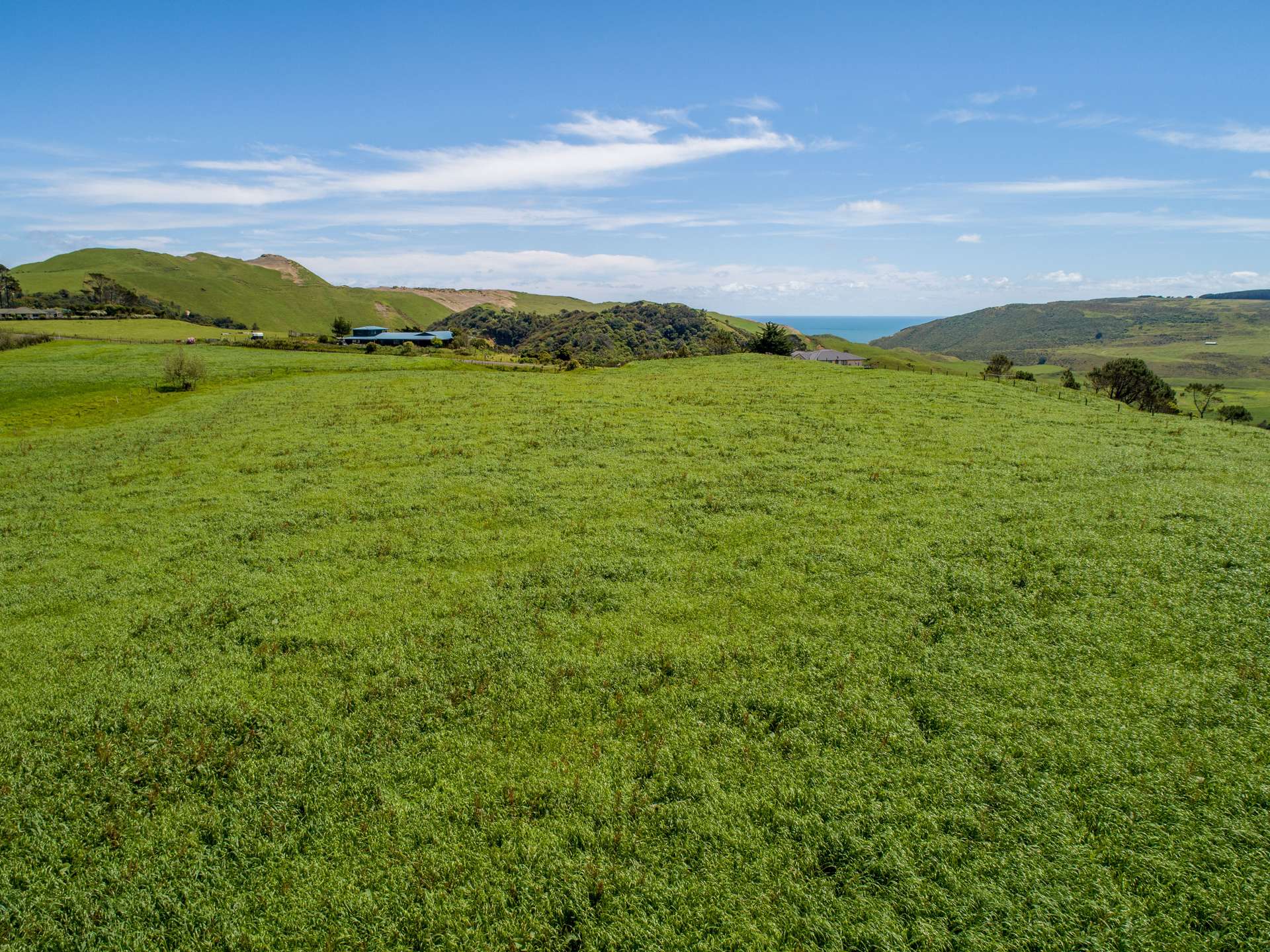 380 Gleeson Road Waiuku_0