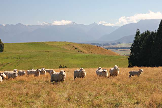 691 Gillespie Road Manapouri_3