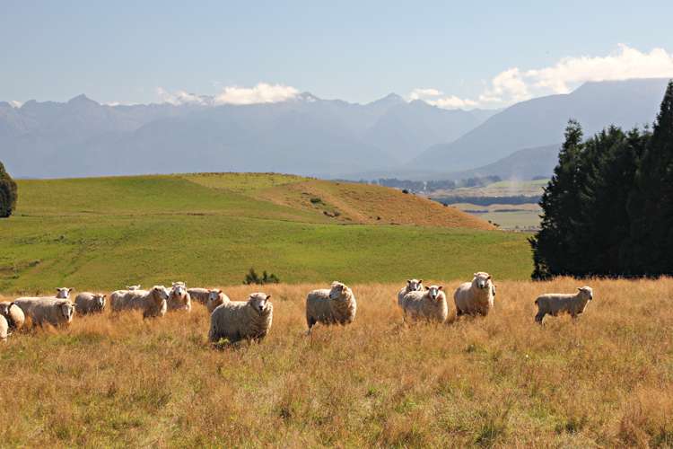 691 Gillespie Road Manapouri_3