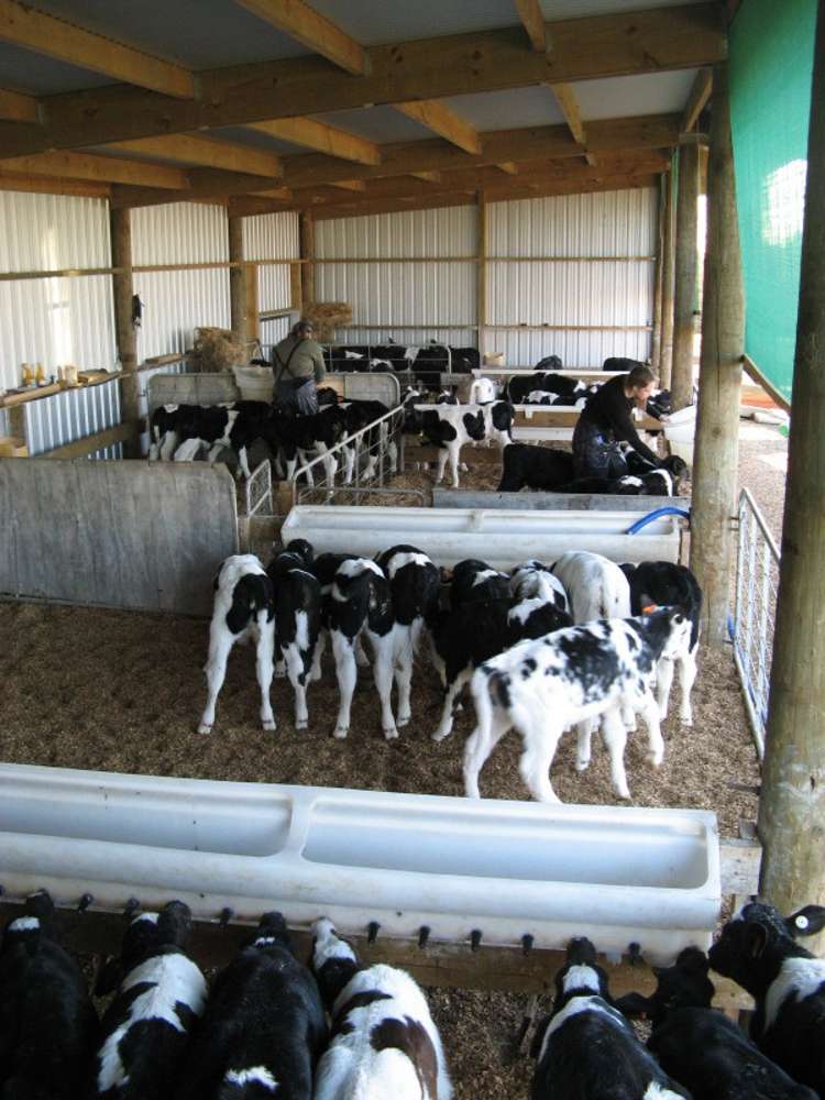 2237 Old Taupo Road Putaruru_5