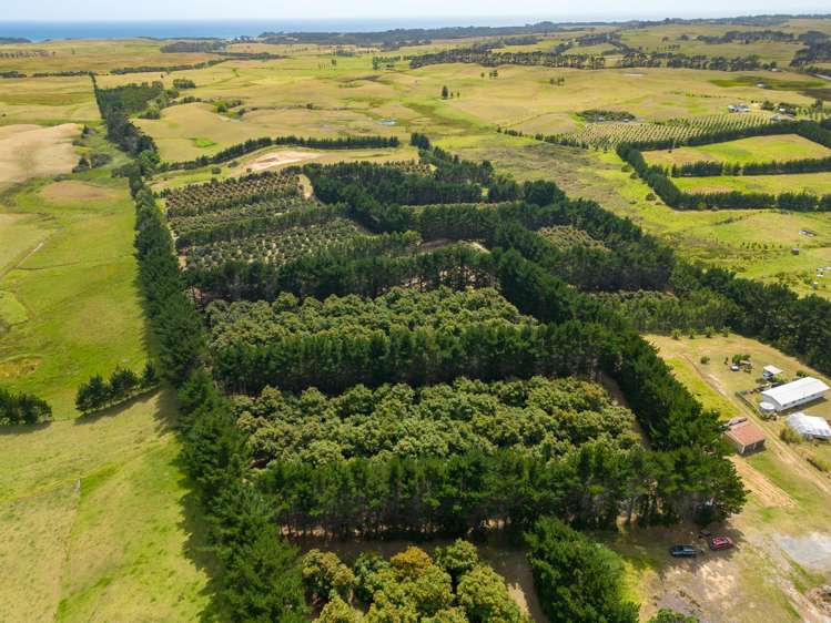 5126 State Highway One Ngataki_2