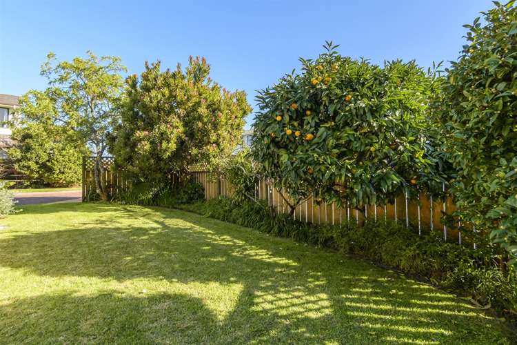 11a Cooneys Drive Matua_14