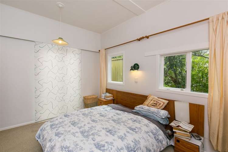 4 Hoggard Street Vogeltown_13