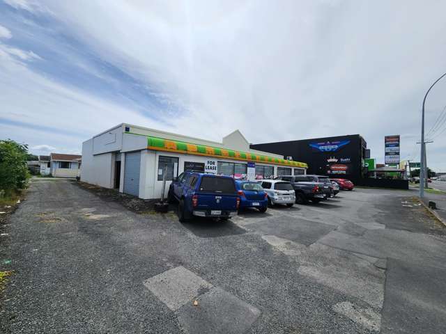 81 Greenwood Street Frankton_3