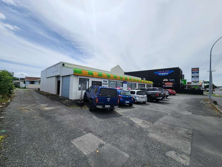 81 Greenwood Street Frankton_3
