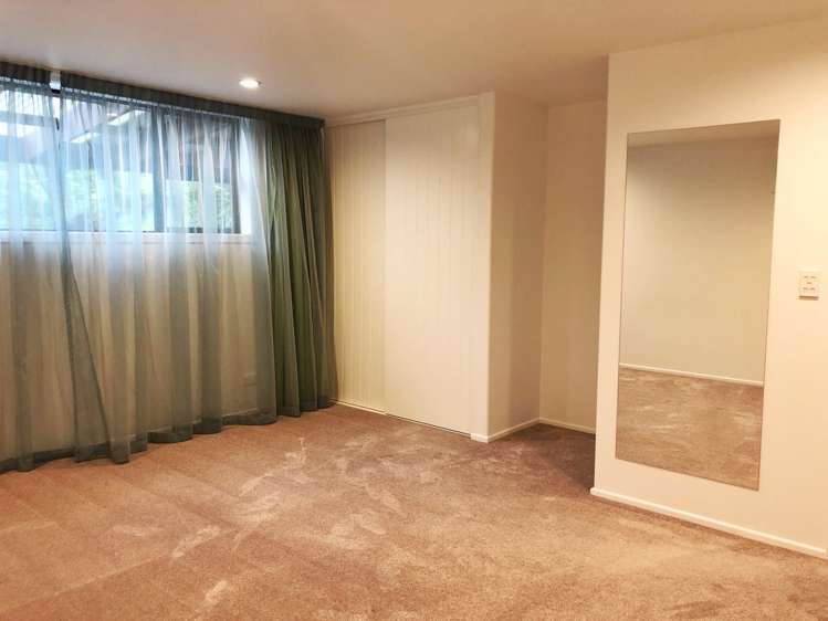 18 Dorset Street Picton_6