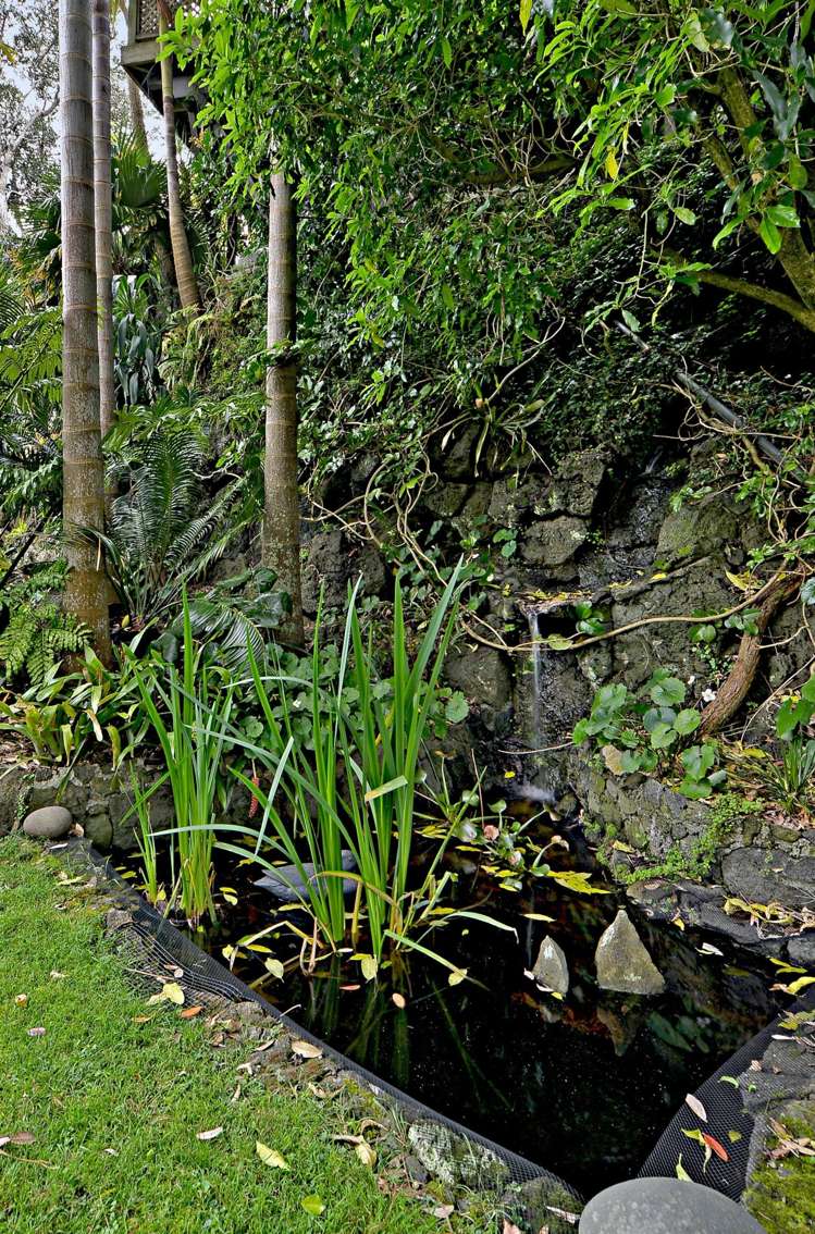 31 Peary Road Mount Eden_21