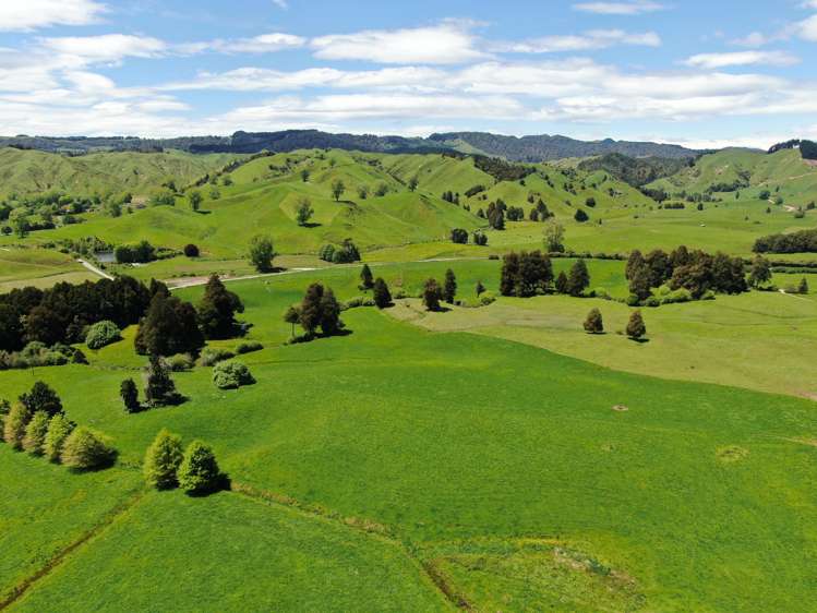 168 Matiere Road Aria_5