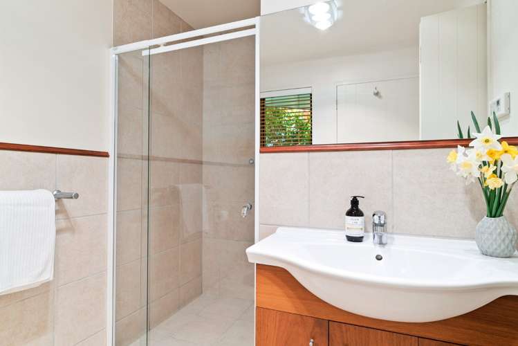 8 Goldleaf Hill Queenstown_8