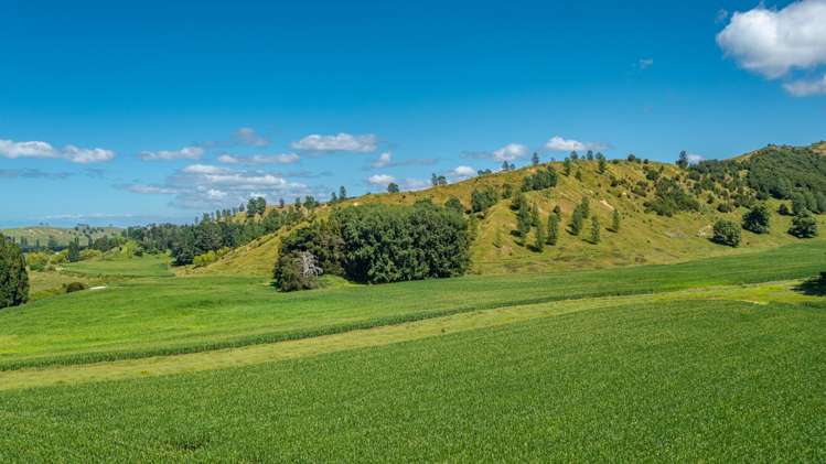 532 Waiatai Road Wairoa_0