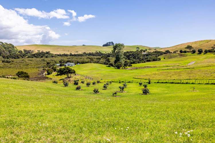 272 Rangihoua Road Kerikeri_18