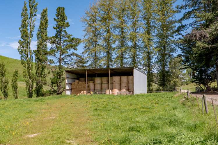 299 Domett Road Domett_15