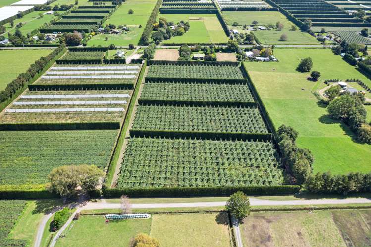 121a Macdonald Road Te Teko_22