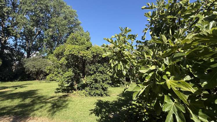 290 Paihia Road Kawakawa_31