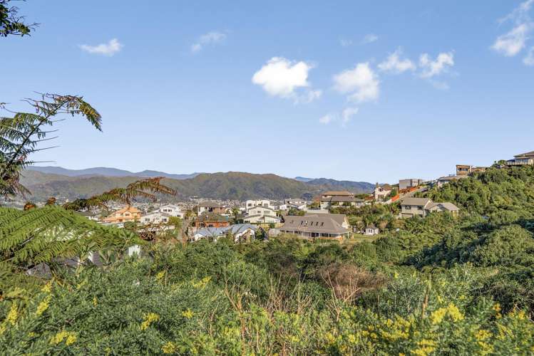 183 Park Road Belmont_23