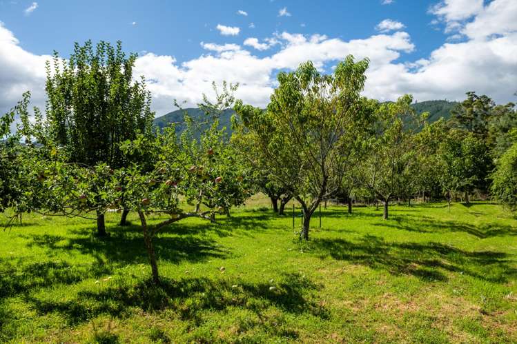 546 Onamalutu Road Onamalutu_34