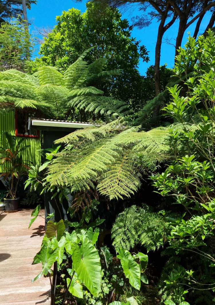 3 Nepean Avenue Orapiu_11