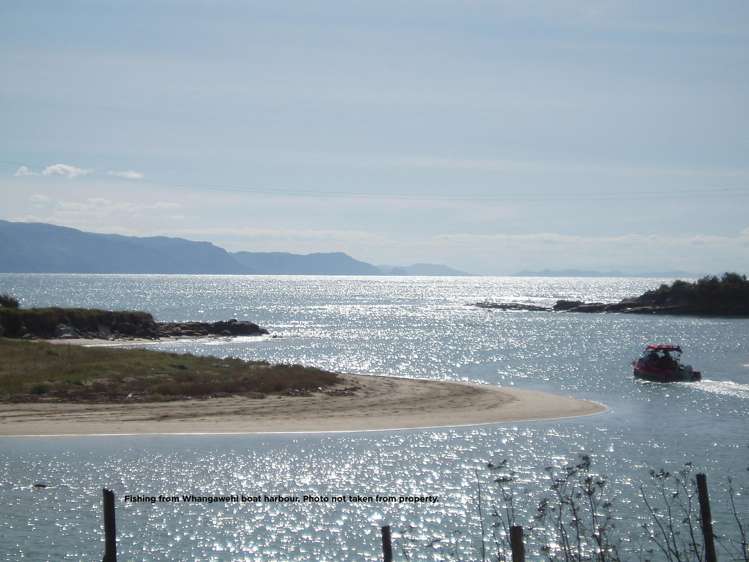 113-115 Fortescue Street_5