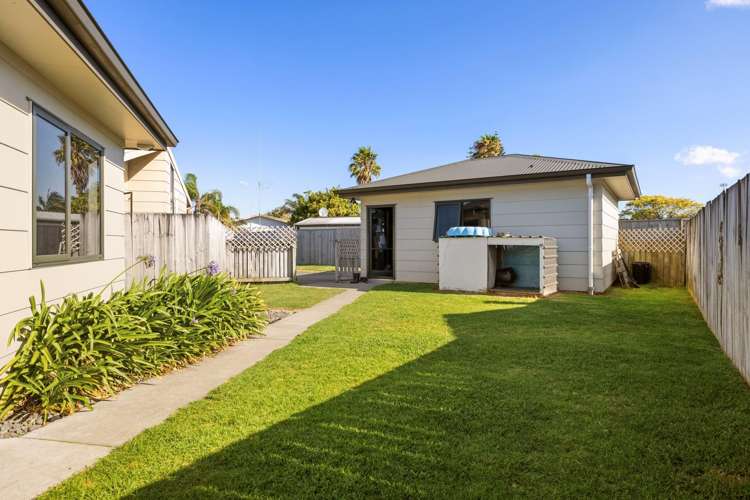 88A Eversham Road Mt Maunganui_5