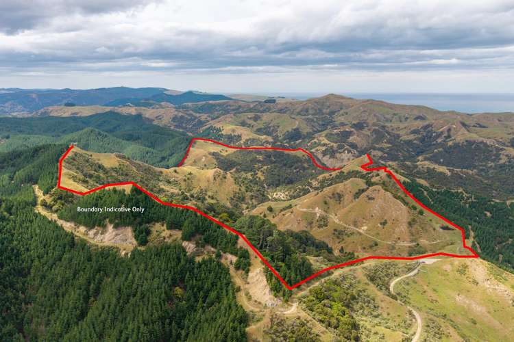 310 Branscombe Road Akitio_8