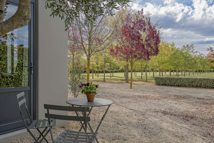 325 Purchas Road Amberley_29