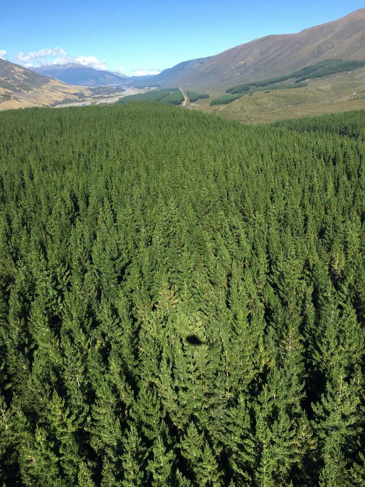 State Highway 63 Renwick_7