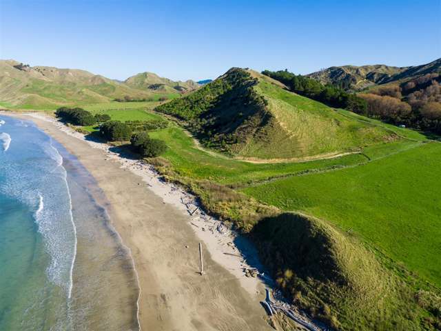 Waiapu Road Tolaga Bay_1
