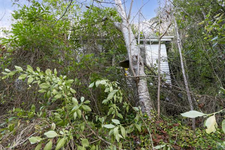 17 Romney Square Tawa_6