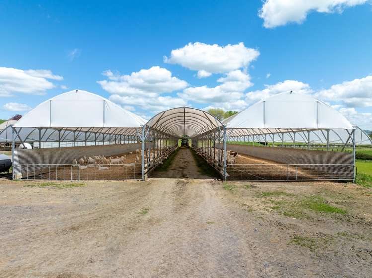 263 Paratu Road, Walton Matamata_23