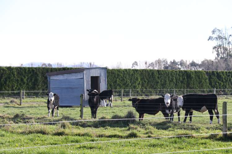 336 Boundary Road Willowby_18