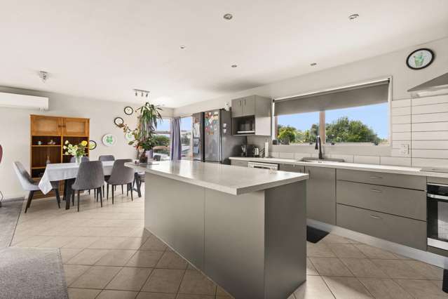 102 Freyberg Avenue Tamatea_1