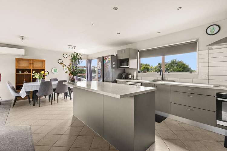 102 Freyberg Avenue Tamatea_1