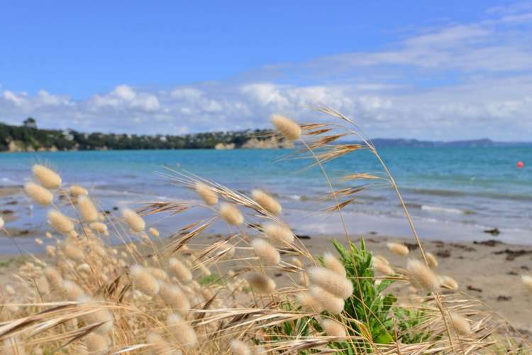 31 Tindalls Bay Road Tindalls Beach_24