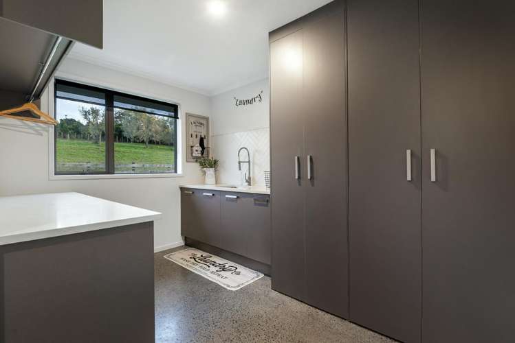 253 Horseshoe Bush Road Dairy Flat_11