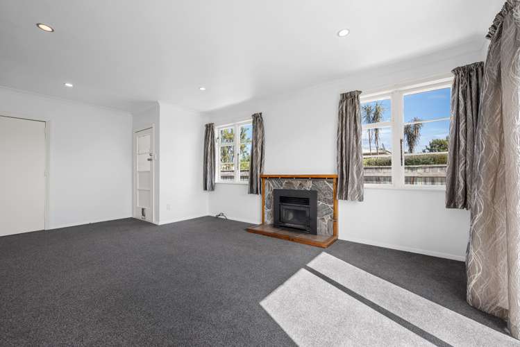 38 Girling Avenue Mayfield_13