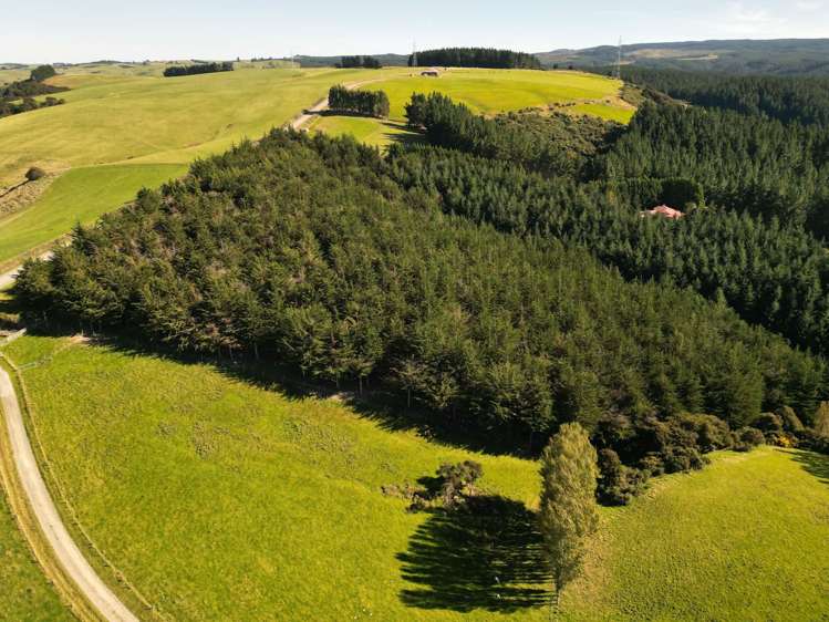 Waihola Hill Road Clarendon_4