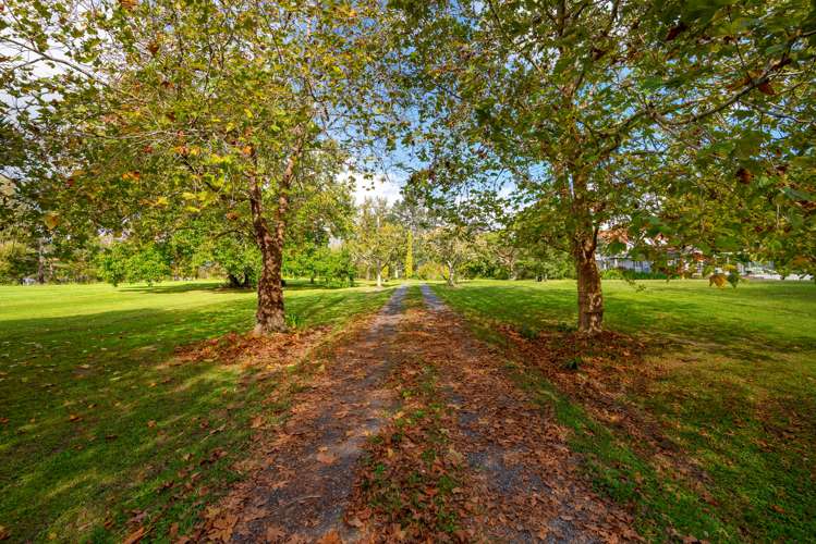 221 Blackbridge Road Dairy Flat_8