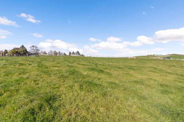 2/471 Sainsbury Road Pirongia_14