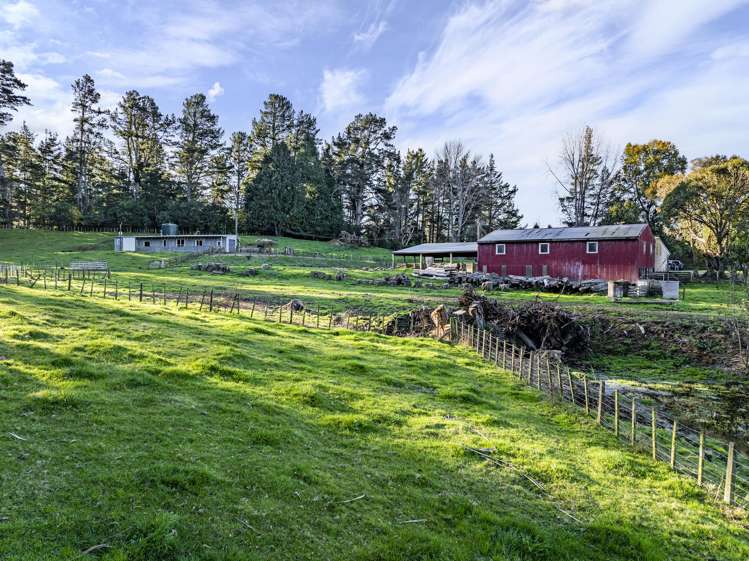 142 Pohokura Road (subdivision of)_5