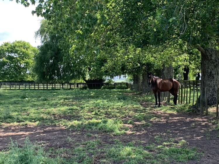 440 Waharoa Road Waharoa_19