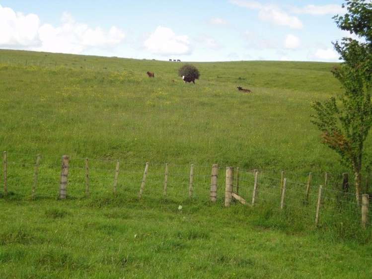 16c Kaitawa Road Pahiatua_7